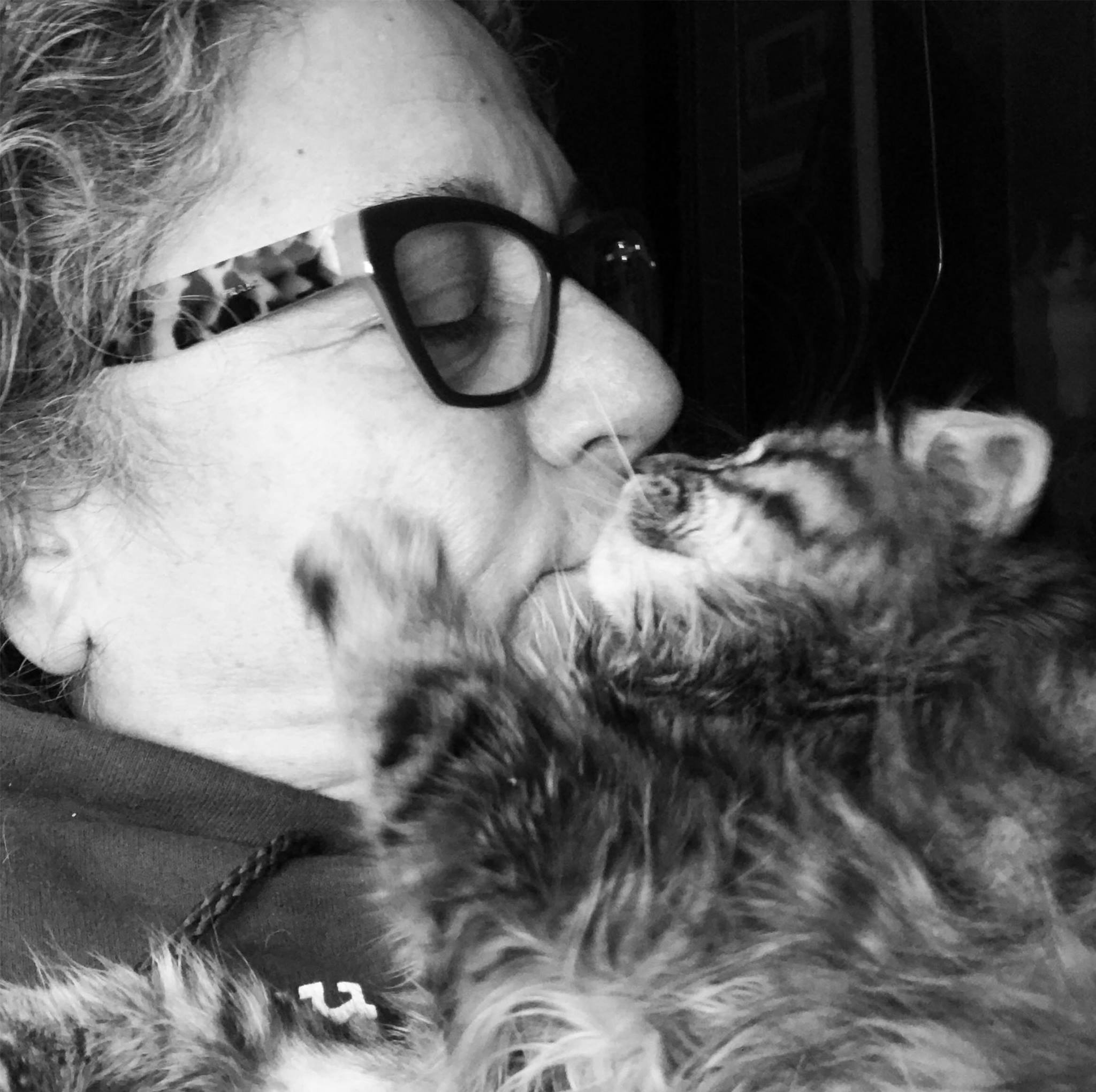 Sitting Kitty Cat Care Special care for your feline family.